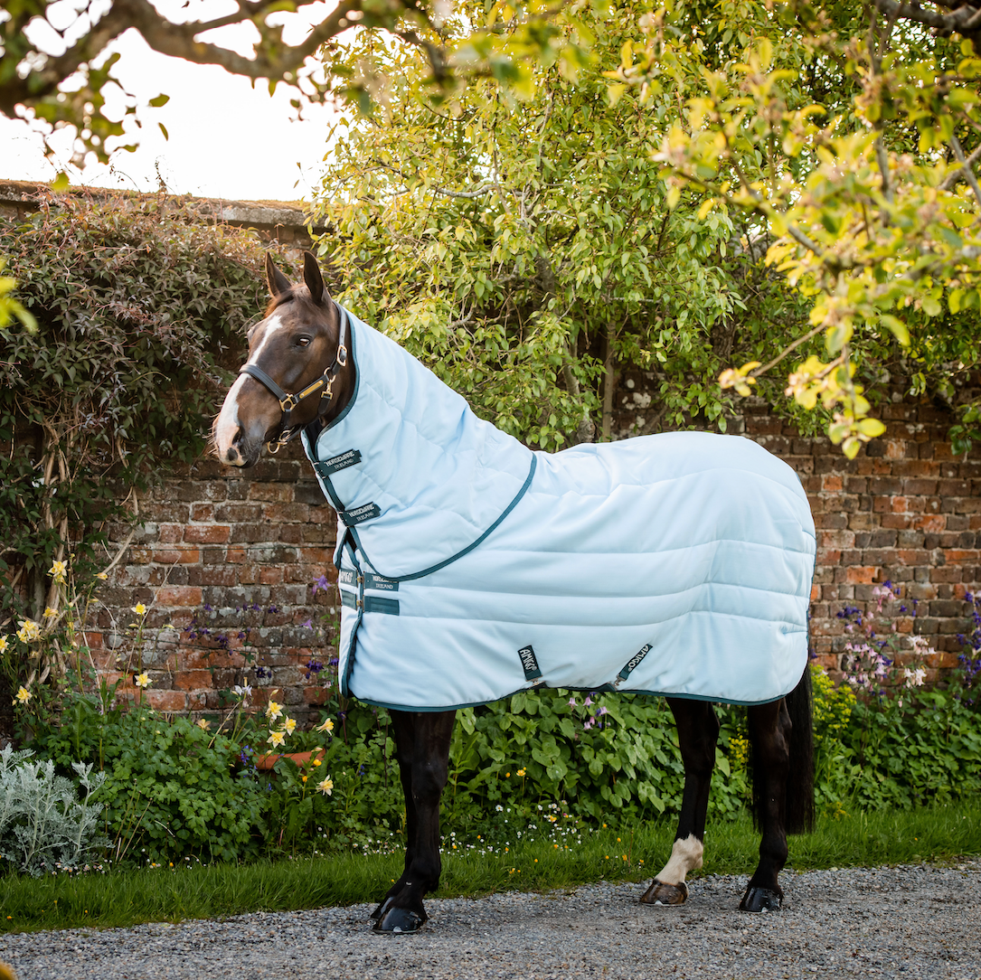 Amigo Stable Plus Plant Dye Deatch-A-Neck