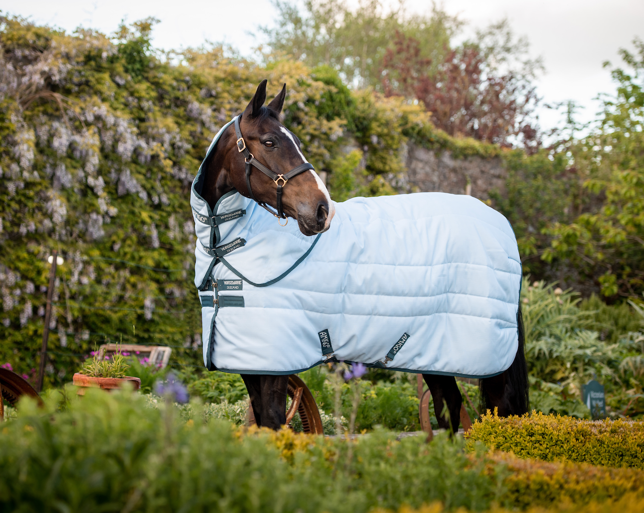 Amigo Stable Plus Plant Dye Deatch-A-Neck
