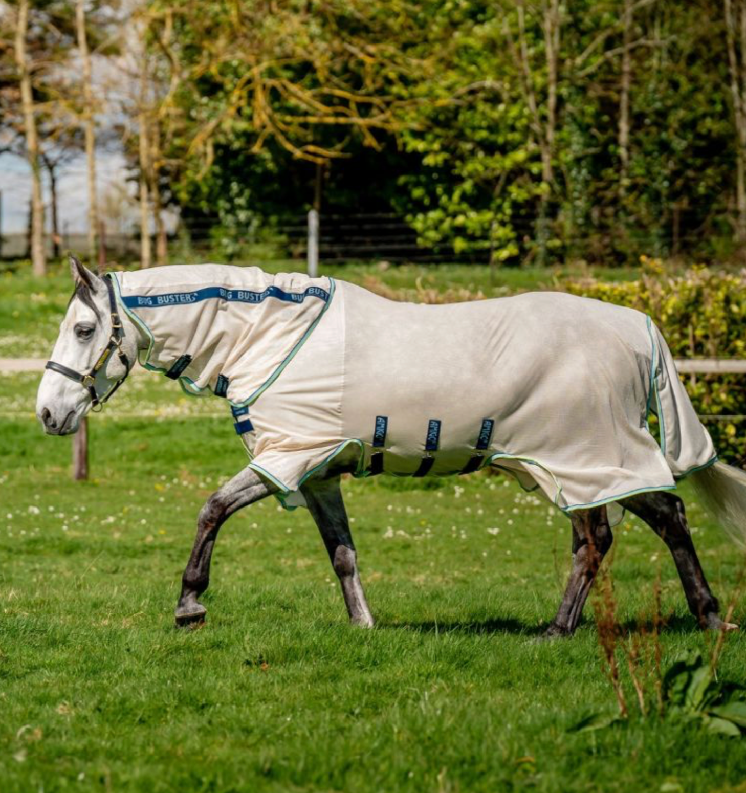 Amigo Bug Buster Fly Sheet Detach-A-Neck