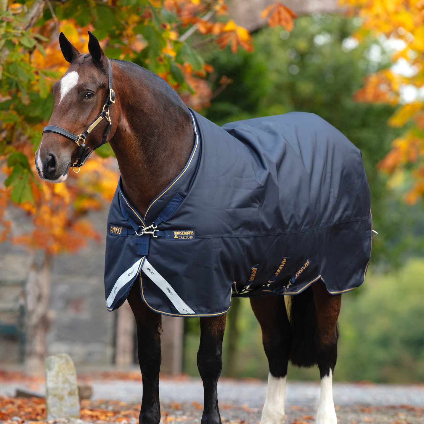 Amigo 1200D XL Turnout Standard Neck