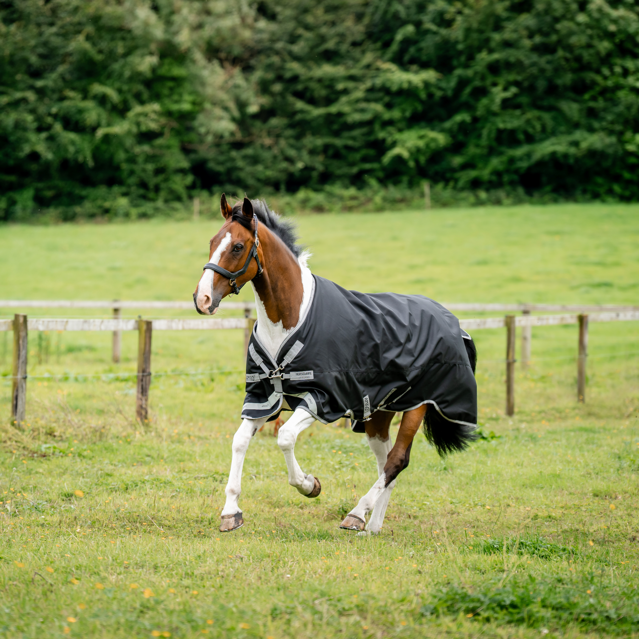 Amigo 1200D XL Turnout Standard Neck