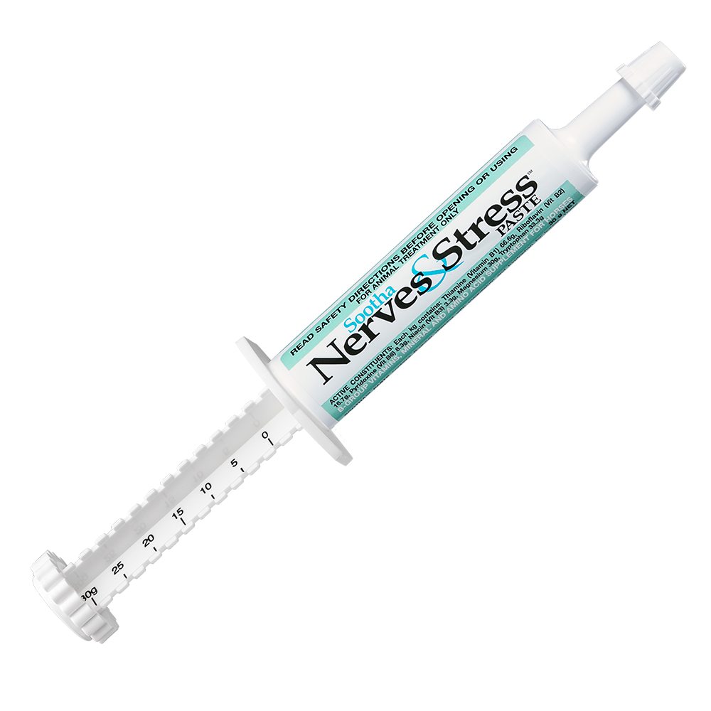 Sootha Nerves & Stress Paste 30g syringe