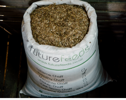 Future Feeds Premium Timothy Chaff