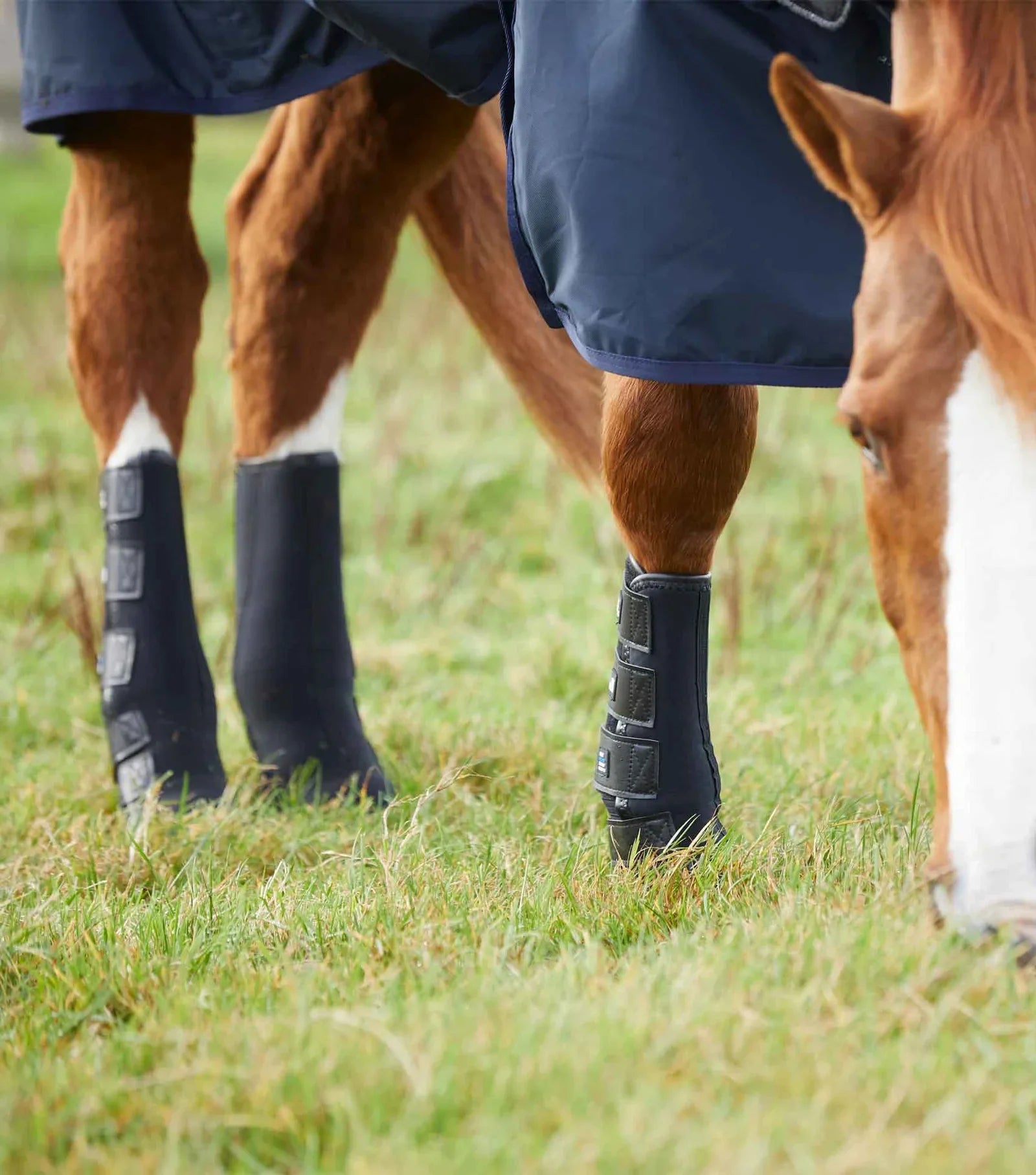 Premier Equine Turnout/ Mud Fever Boots