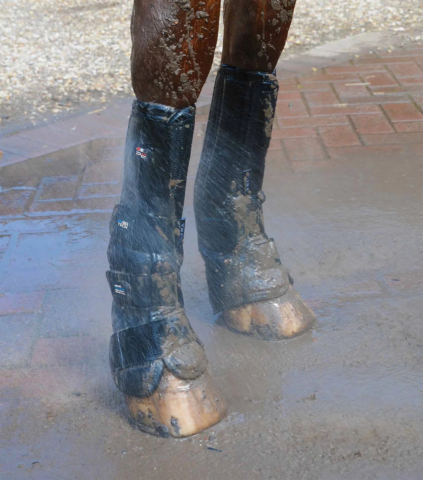 Premier Equine Turnout/ Mud Fever Boots