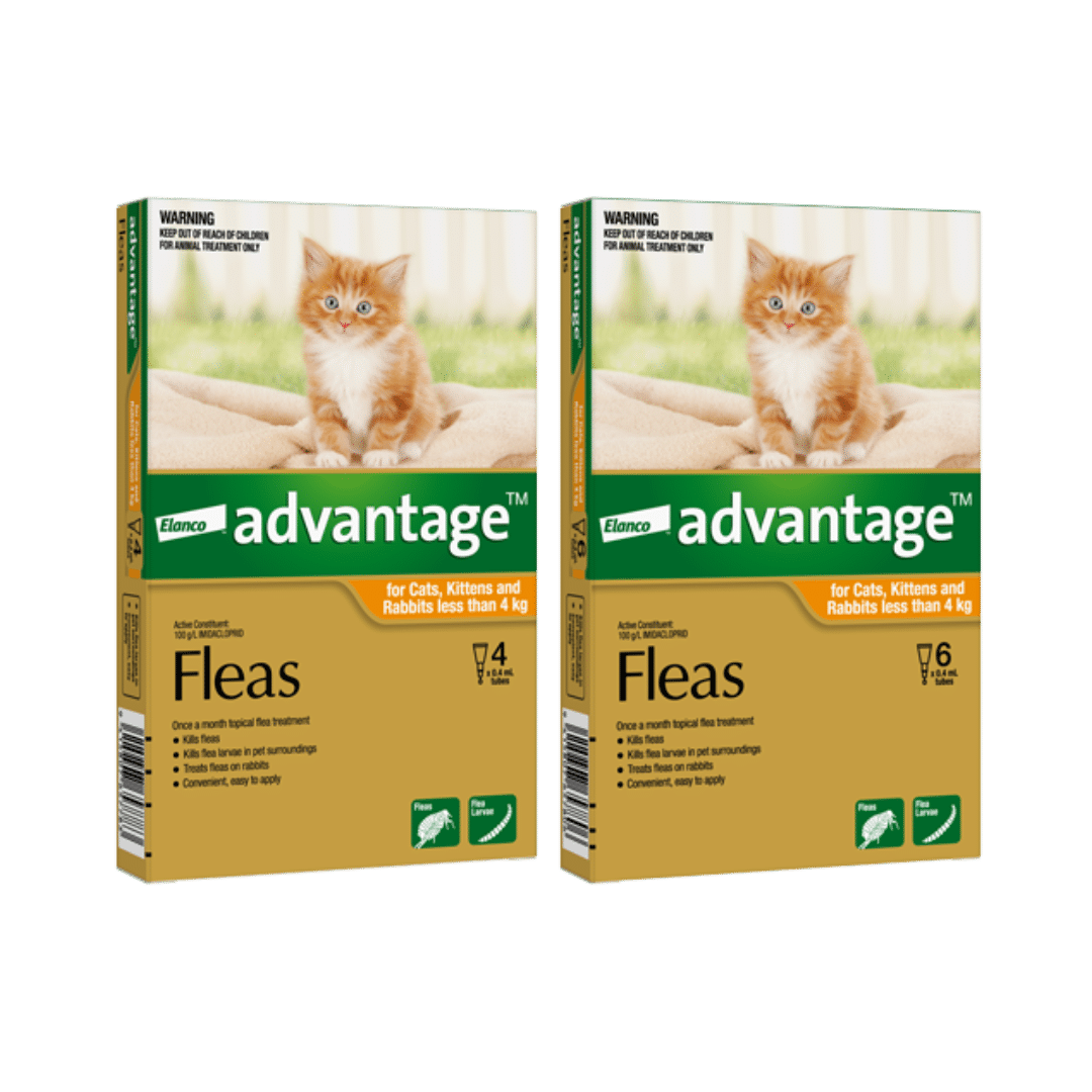 Advantage Spot-On for small cats and kittens