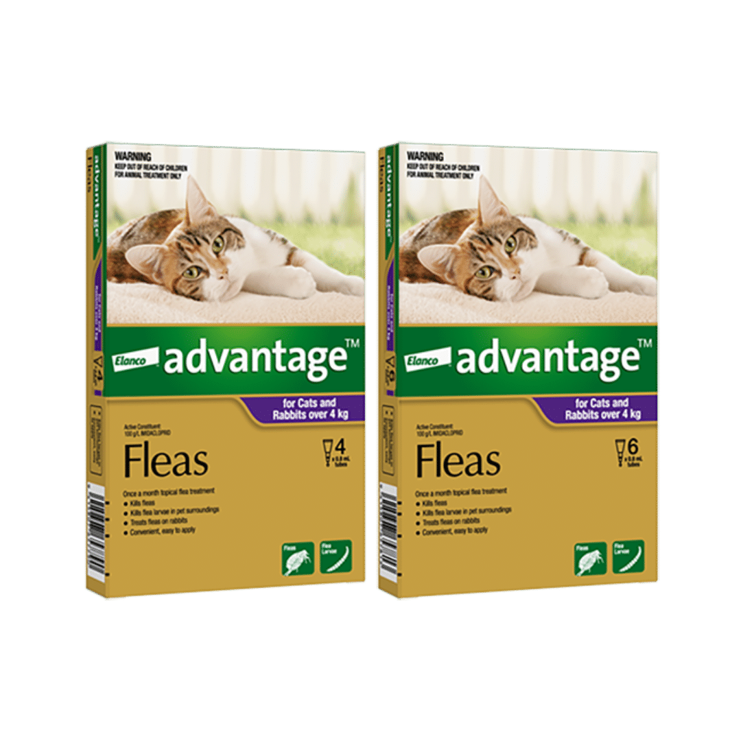 Advantage Spot-On for large cats