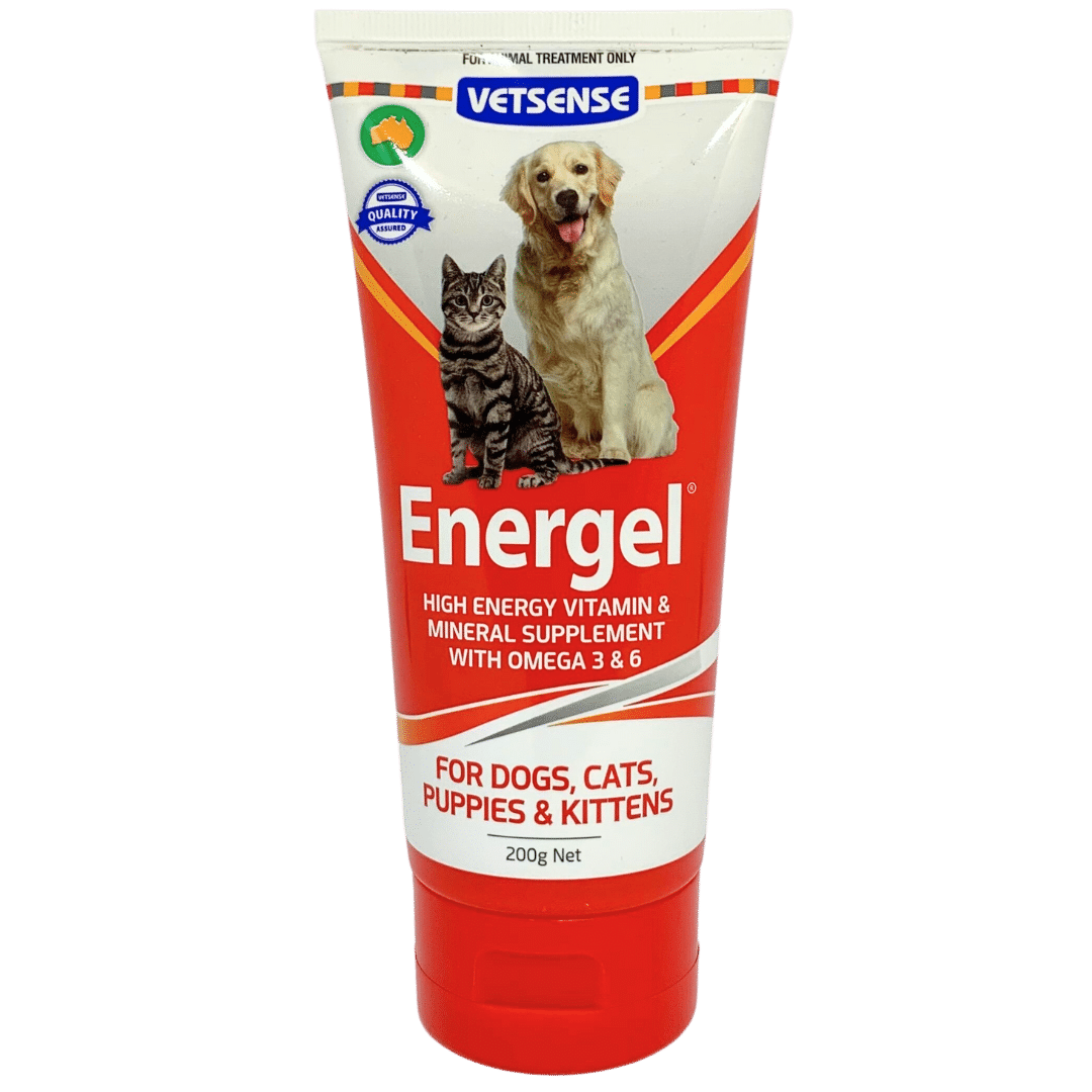 Vetsense Energel energy supplement