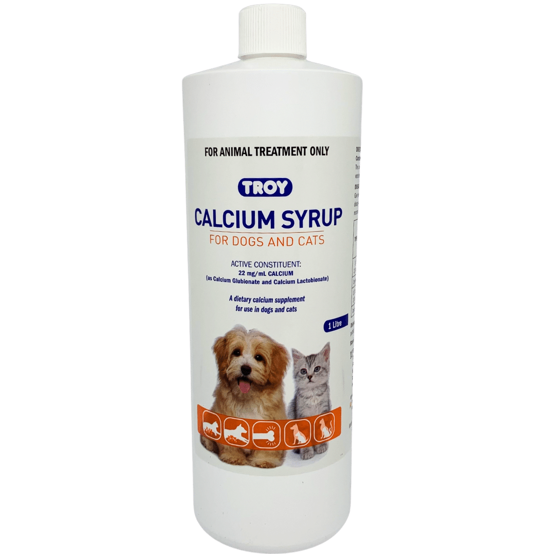 Troy Calcium Syrup 1 litre