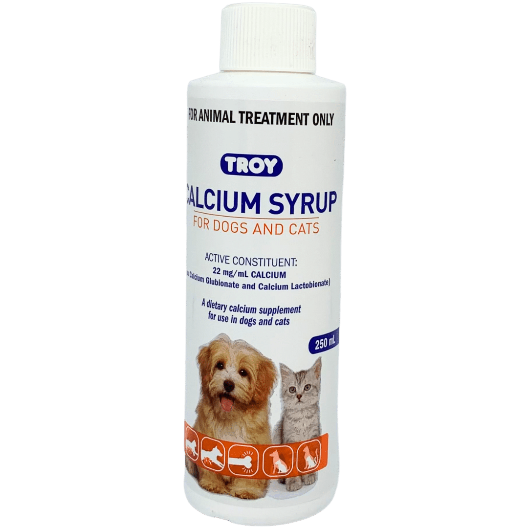 Troy Calcium Syrup 250ml