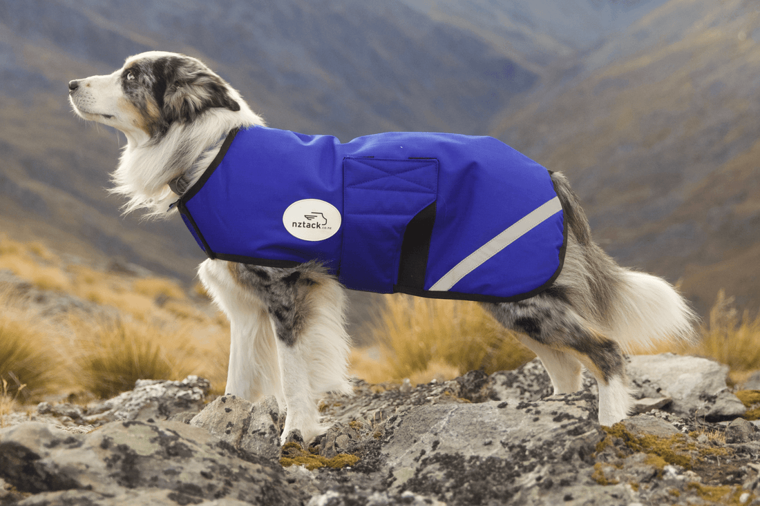 nztack Buddy Dog Coat