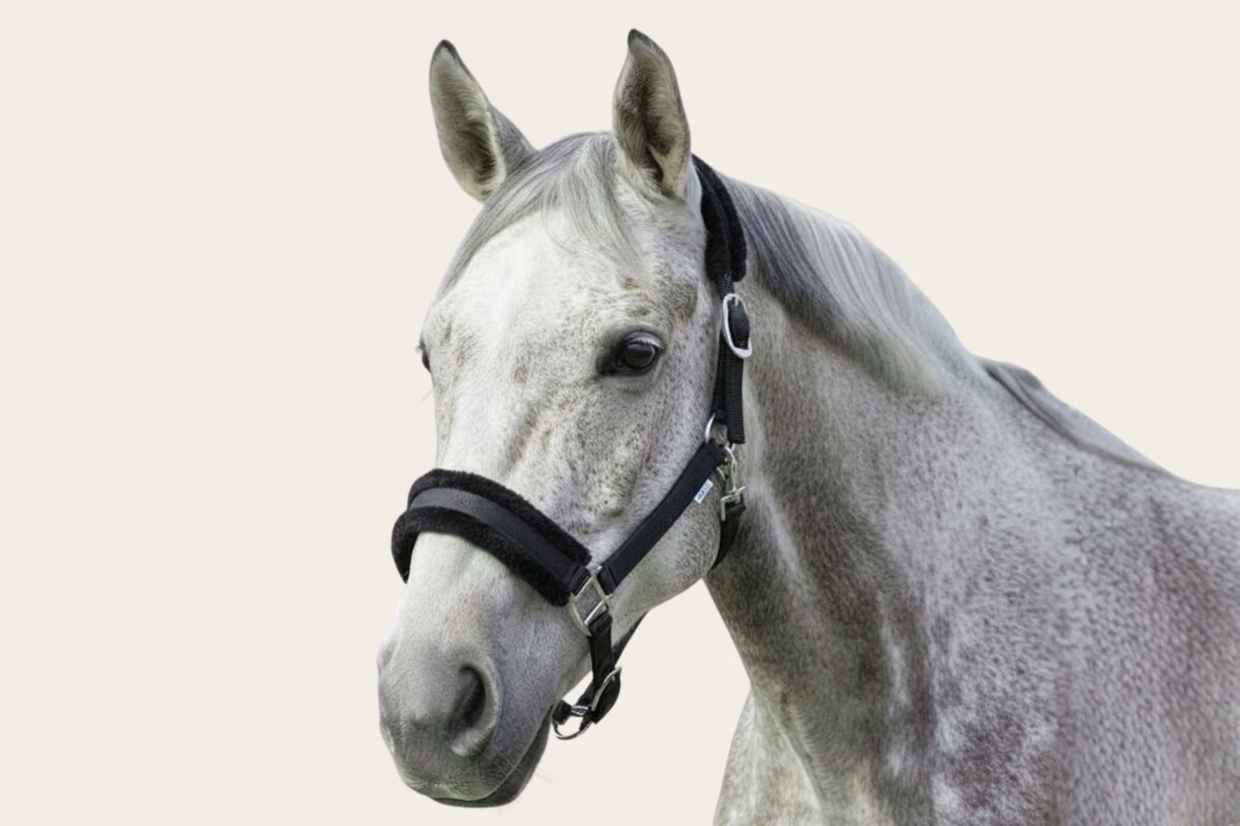 NZ Tack Signature Fleece Halter