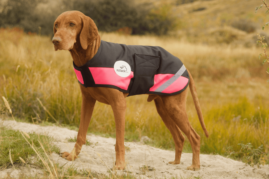 nztack Buddy Dog Coat Pink/Black