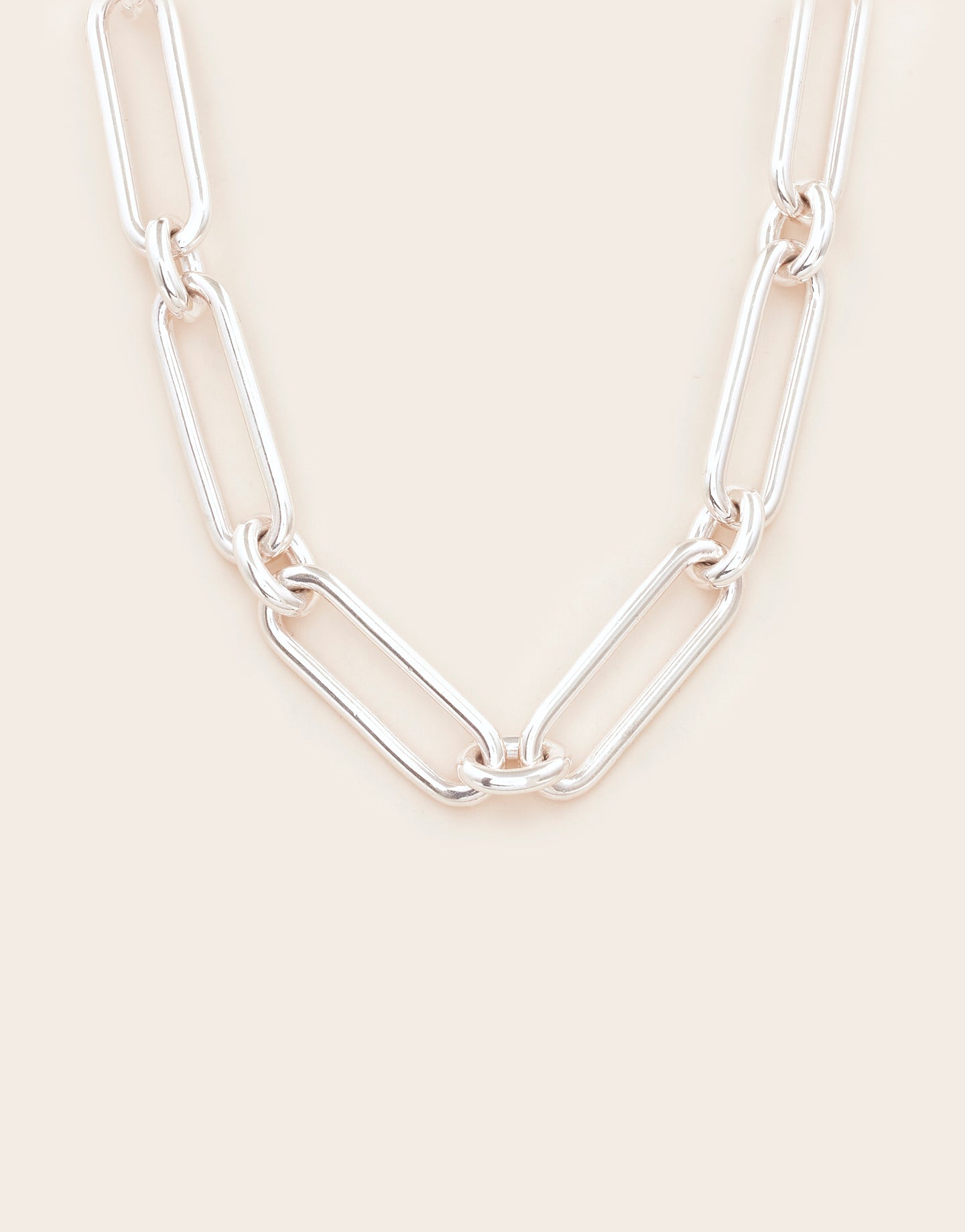 Whistle & Pop High Country Chunky Gate Chain Necklace