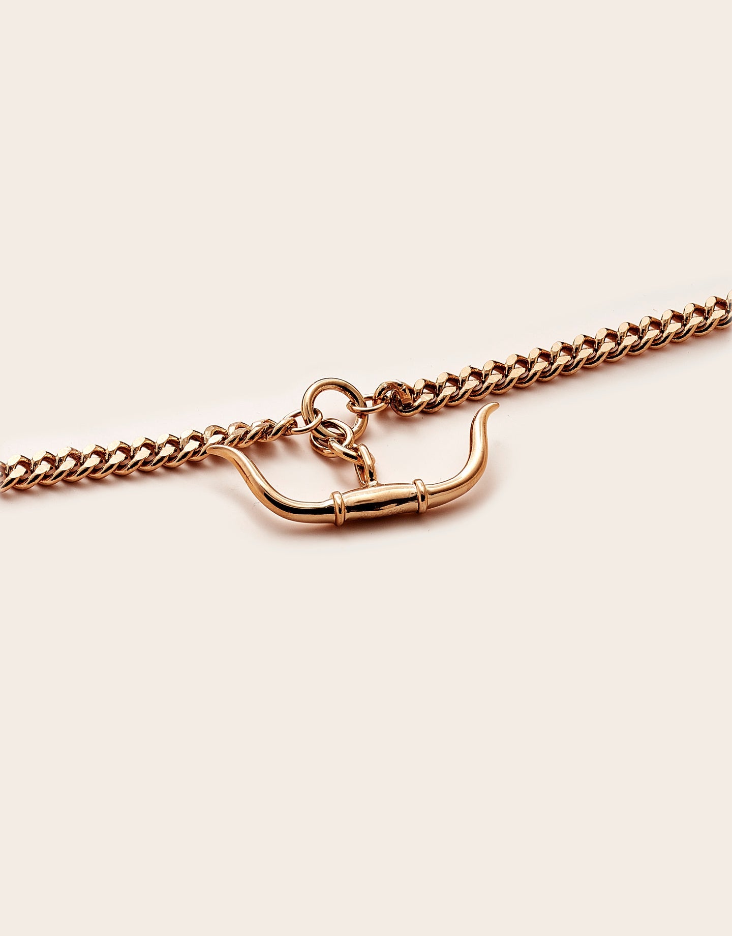 Whistle & Pop Trailblazer Longhorn Necklace