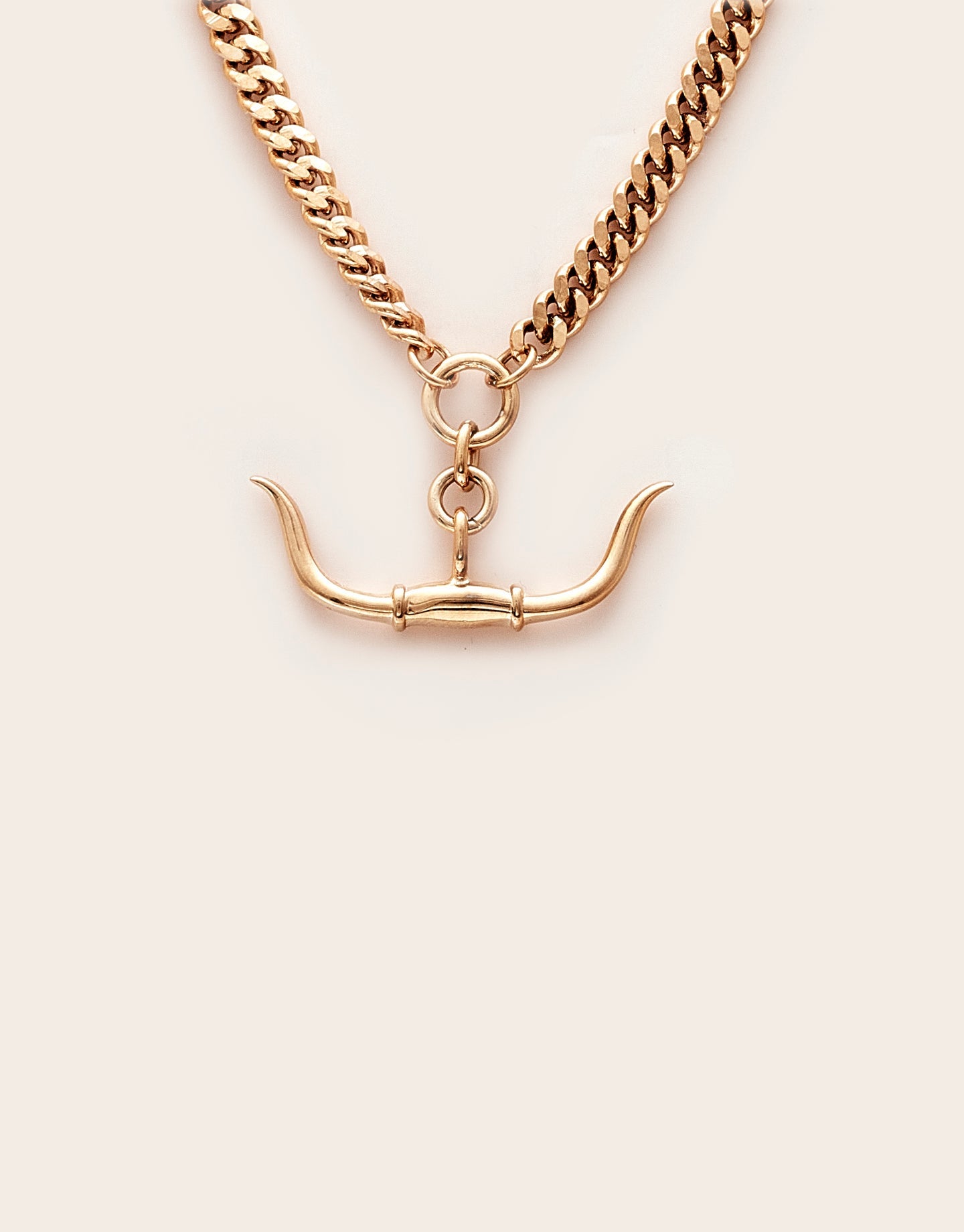 Whistle & Pop Trailblazer Longhorn Necklace