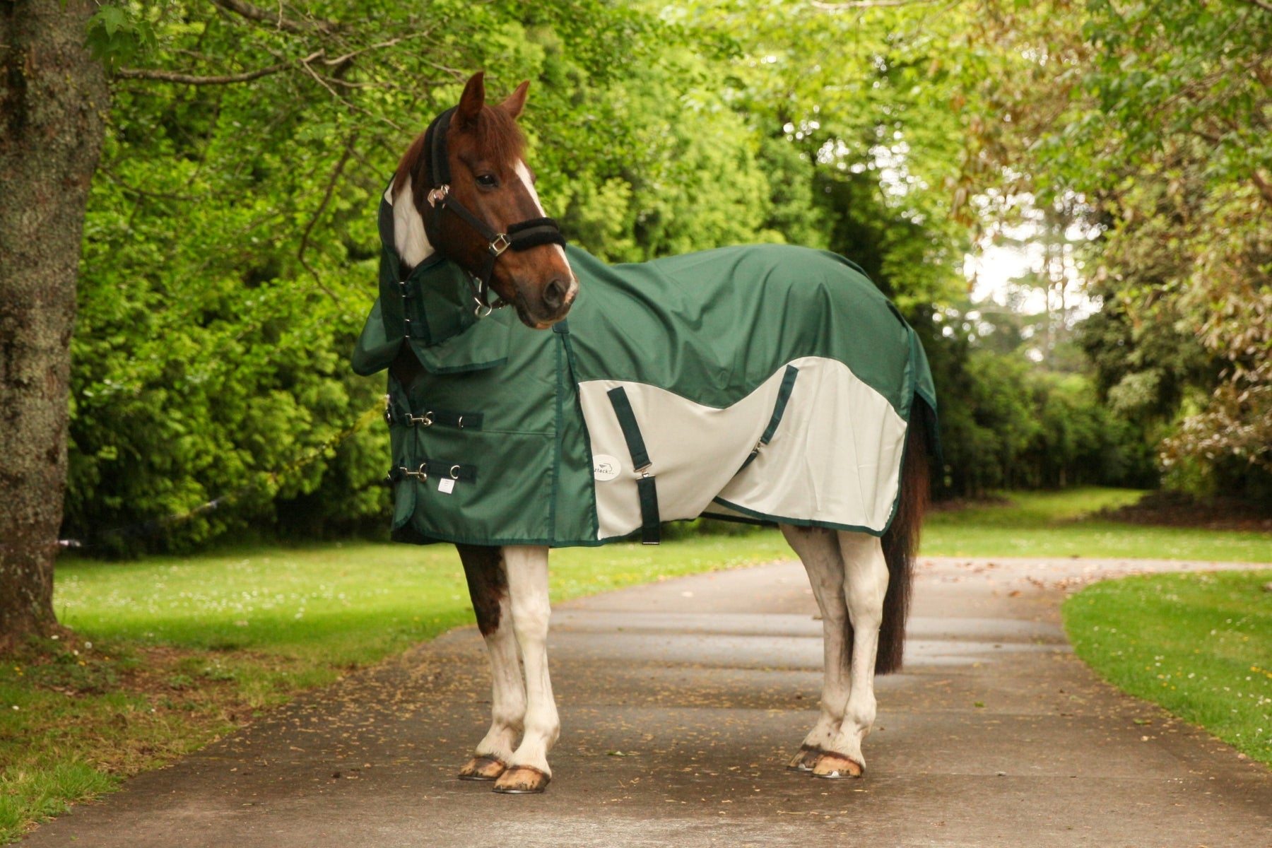 PRE-ORDER: DUE FEB 2026 NZ Tack WaterProof Mesh CrossOver Combo Green