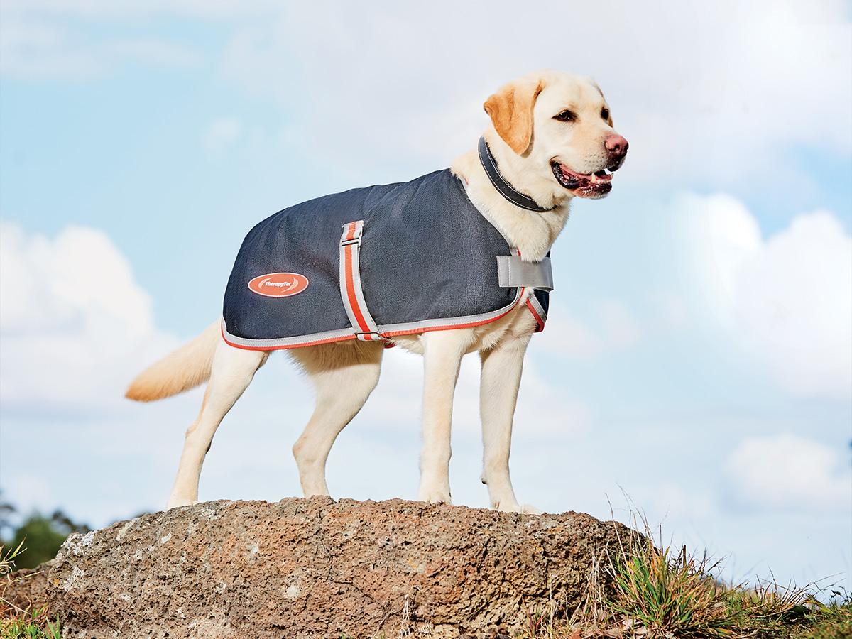 Weatherbeeta ComFiTec 1200D Therapy-Tec Dog Coat