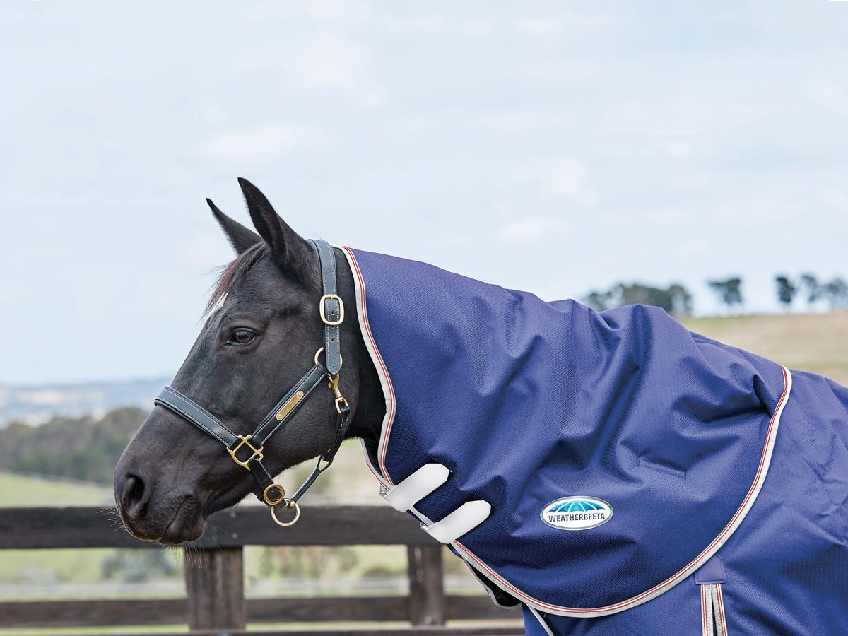 Weatherbeeta ComfiTec Essential Neck Rug