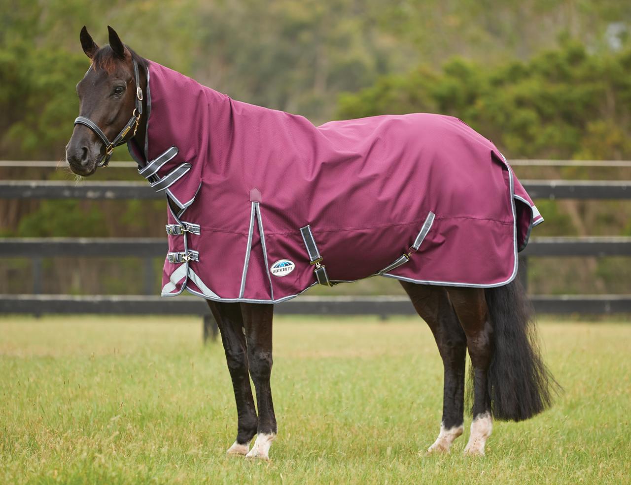 Weatherbeeta ComfiTec Plus Dynamic Duo II Combo