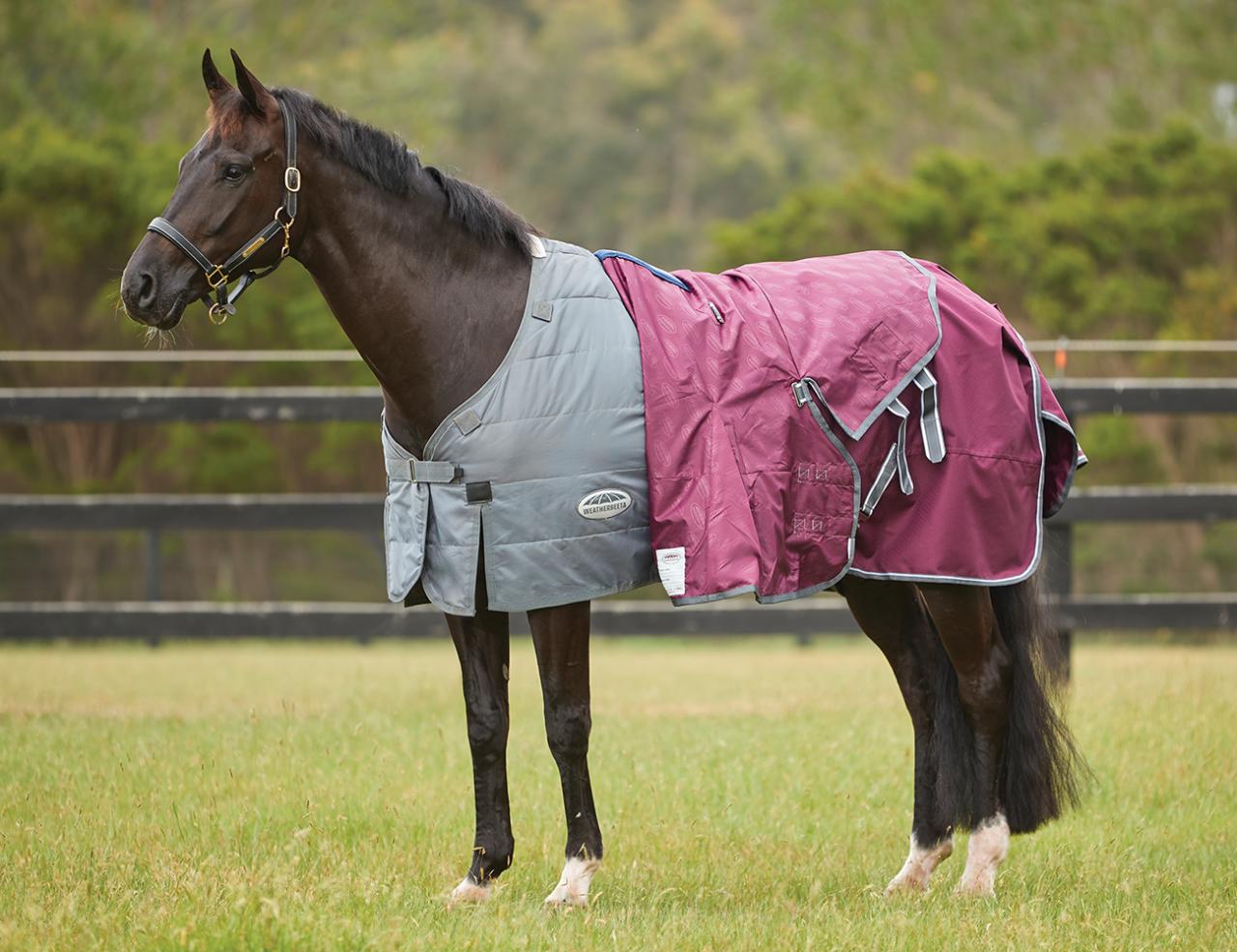 Weatherbeeta ComfiTec Plus Dynamic Duo II Combo