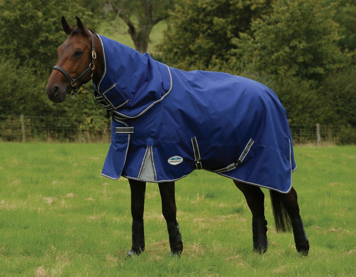A horse wearing a blue Weatherbeeta Comfitec Premier Free II Detach-A-Neck horse blanket in a field.