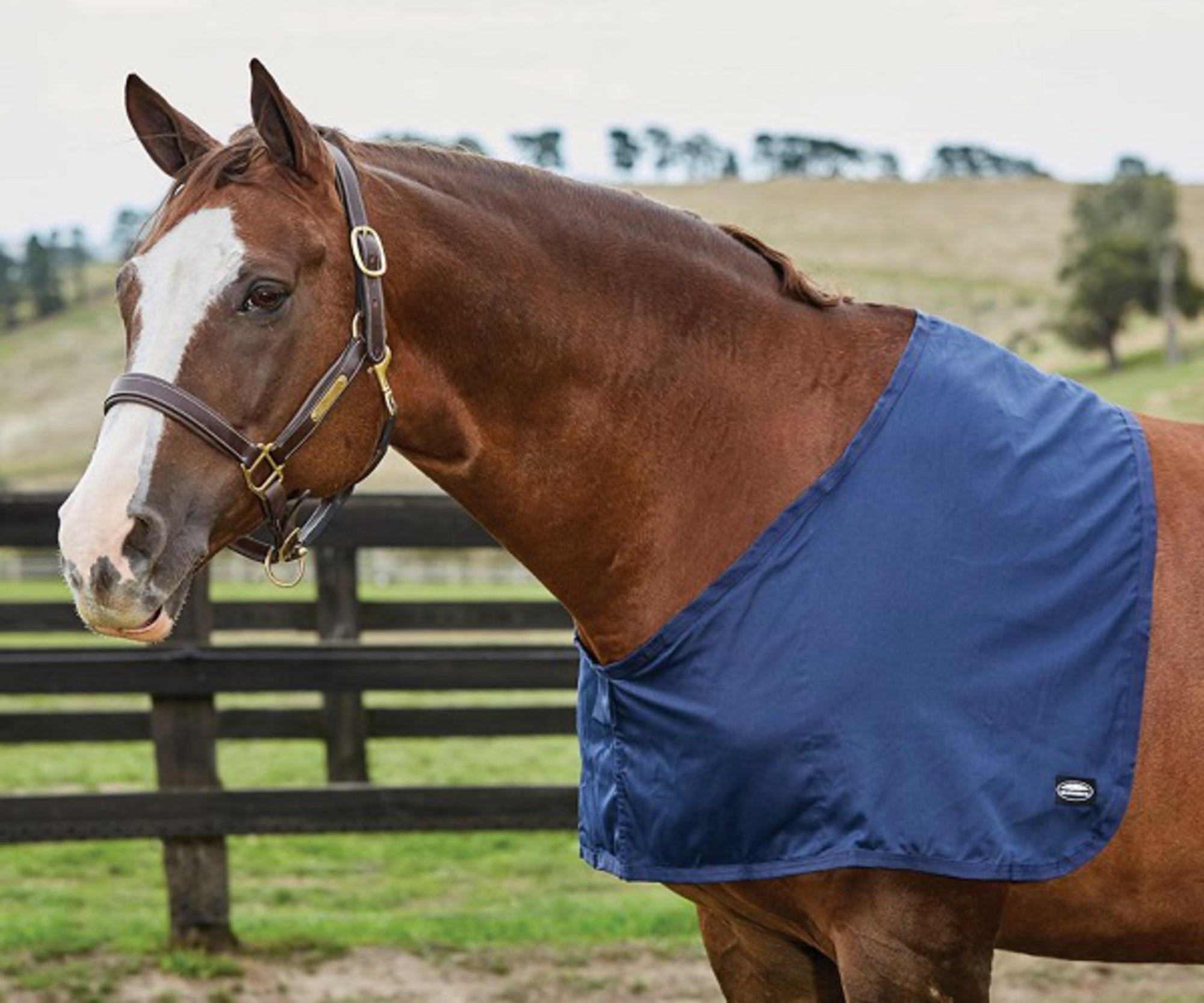 Weatherbeeta Cotton Shoulder Guard