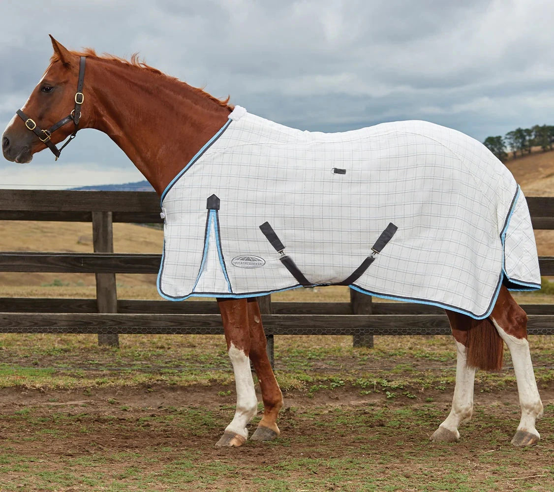 A horse wearing a white and blue WeatherBeeta summer cotton sheet with a standard neck fit.
