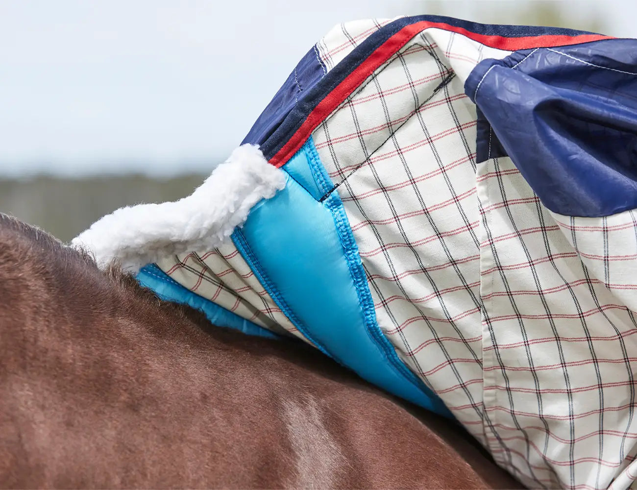 Weatherbeeta Summer Sheet Lite Detach-A-Hood