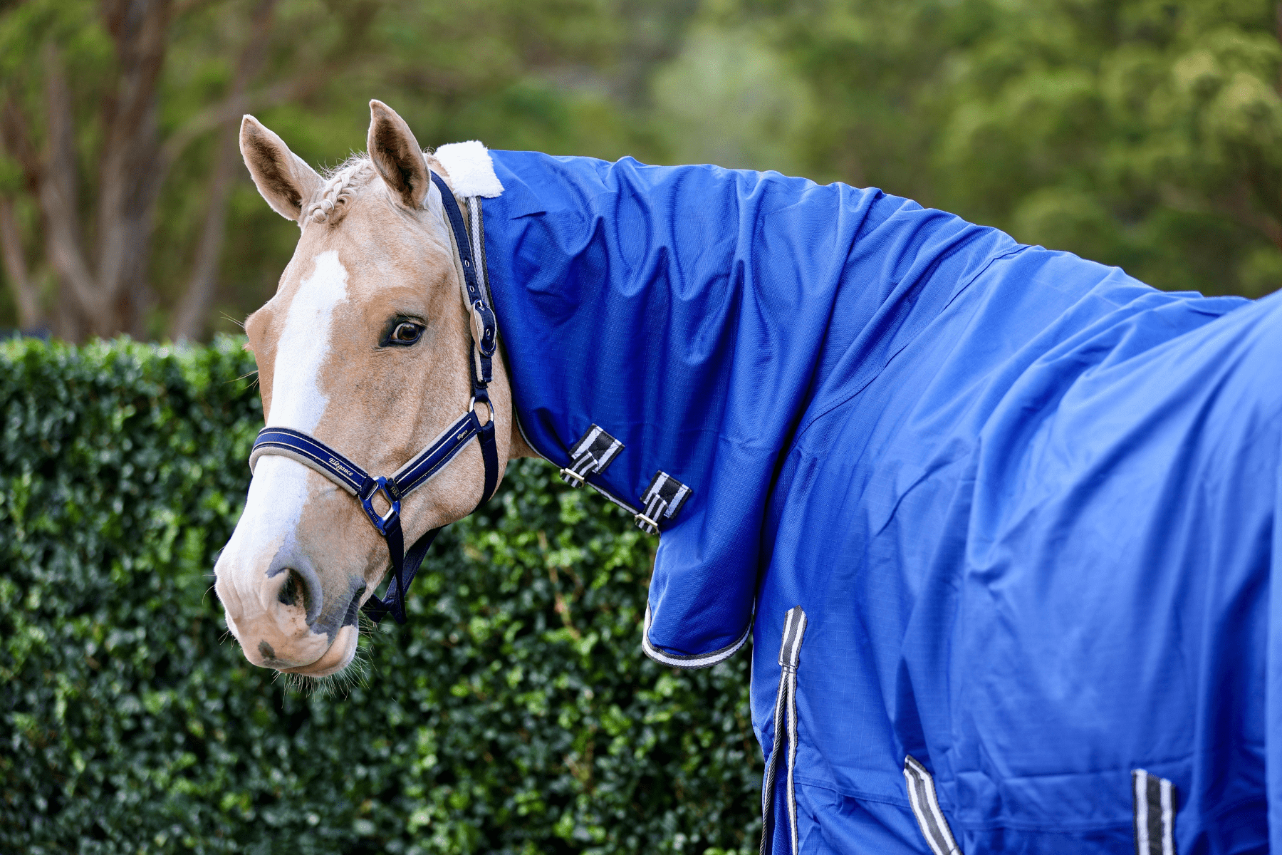 Zilco Garrison 1200d Combo