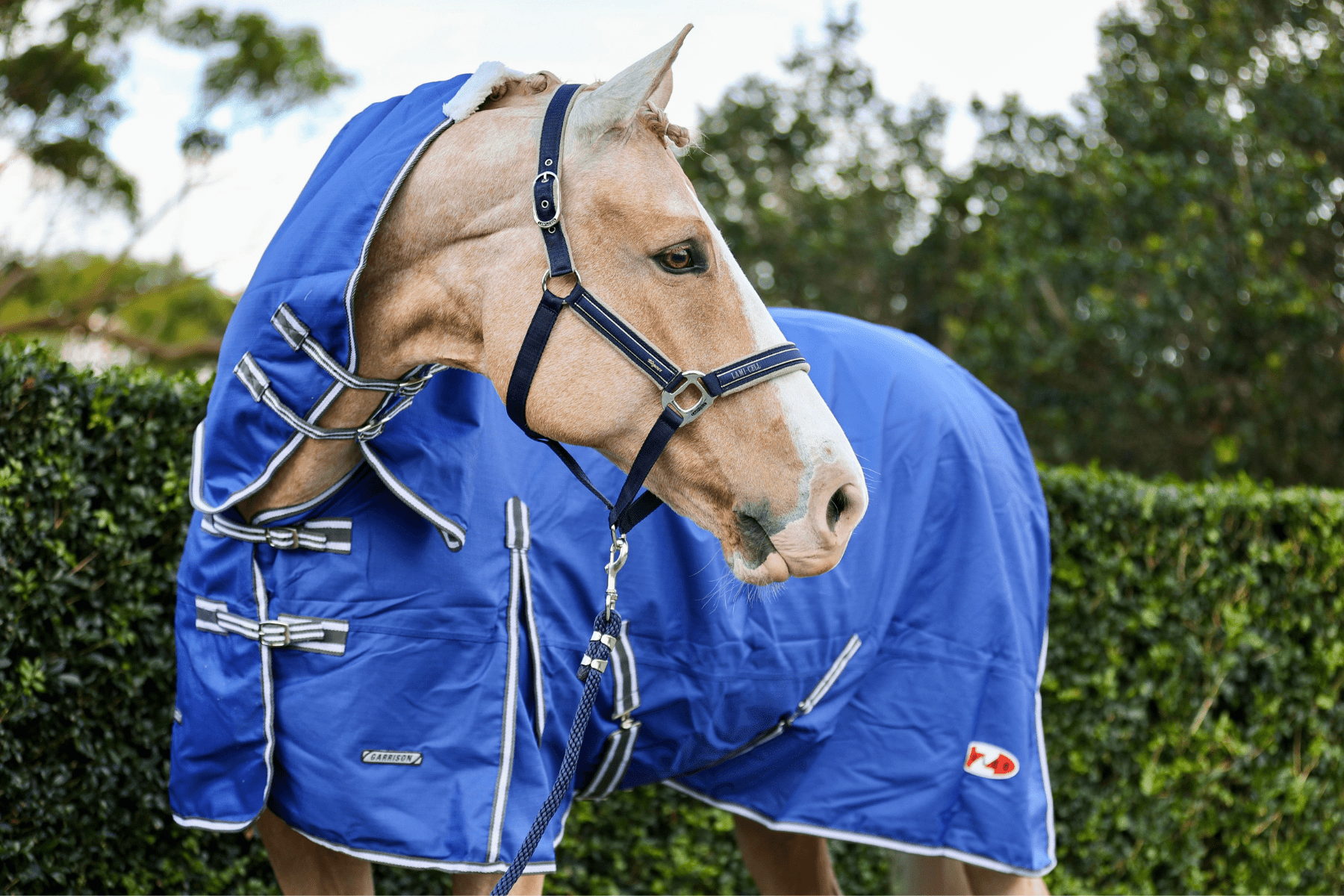 Zilco Garrison 1200d Combo