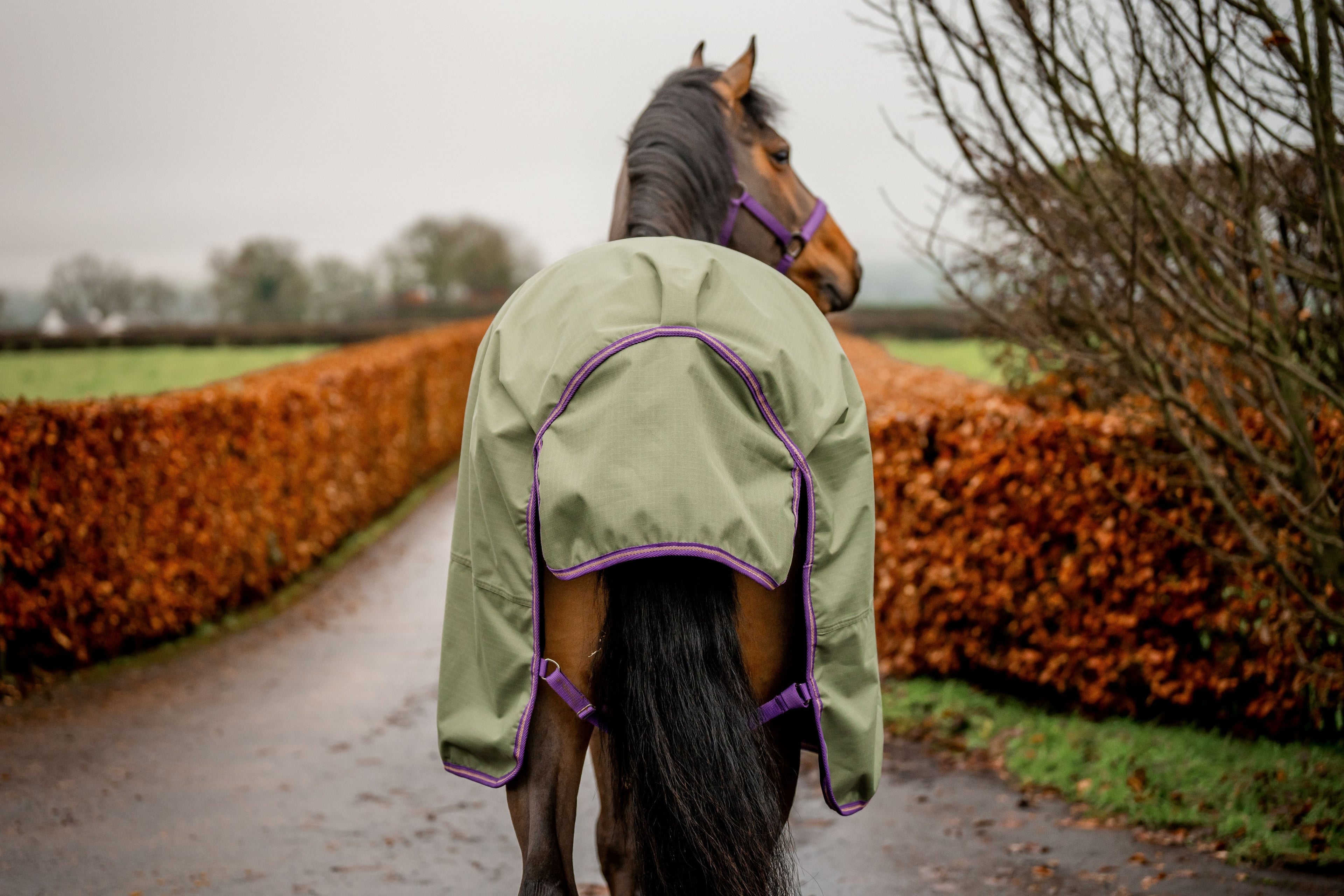 Amigo Hero Ripstop Lite Rug