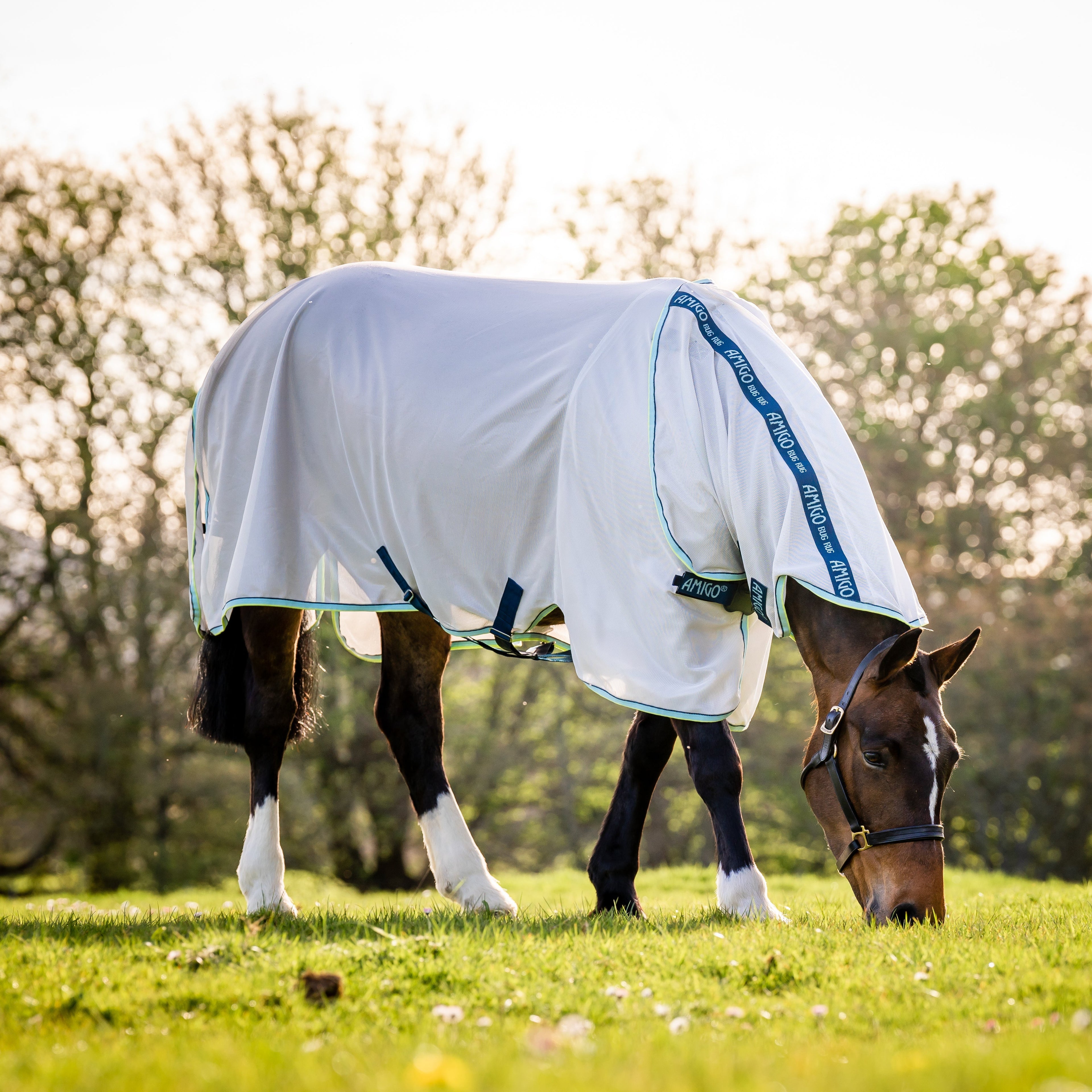 Amigo XL Bug Rug Detach-A-Neck