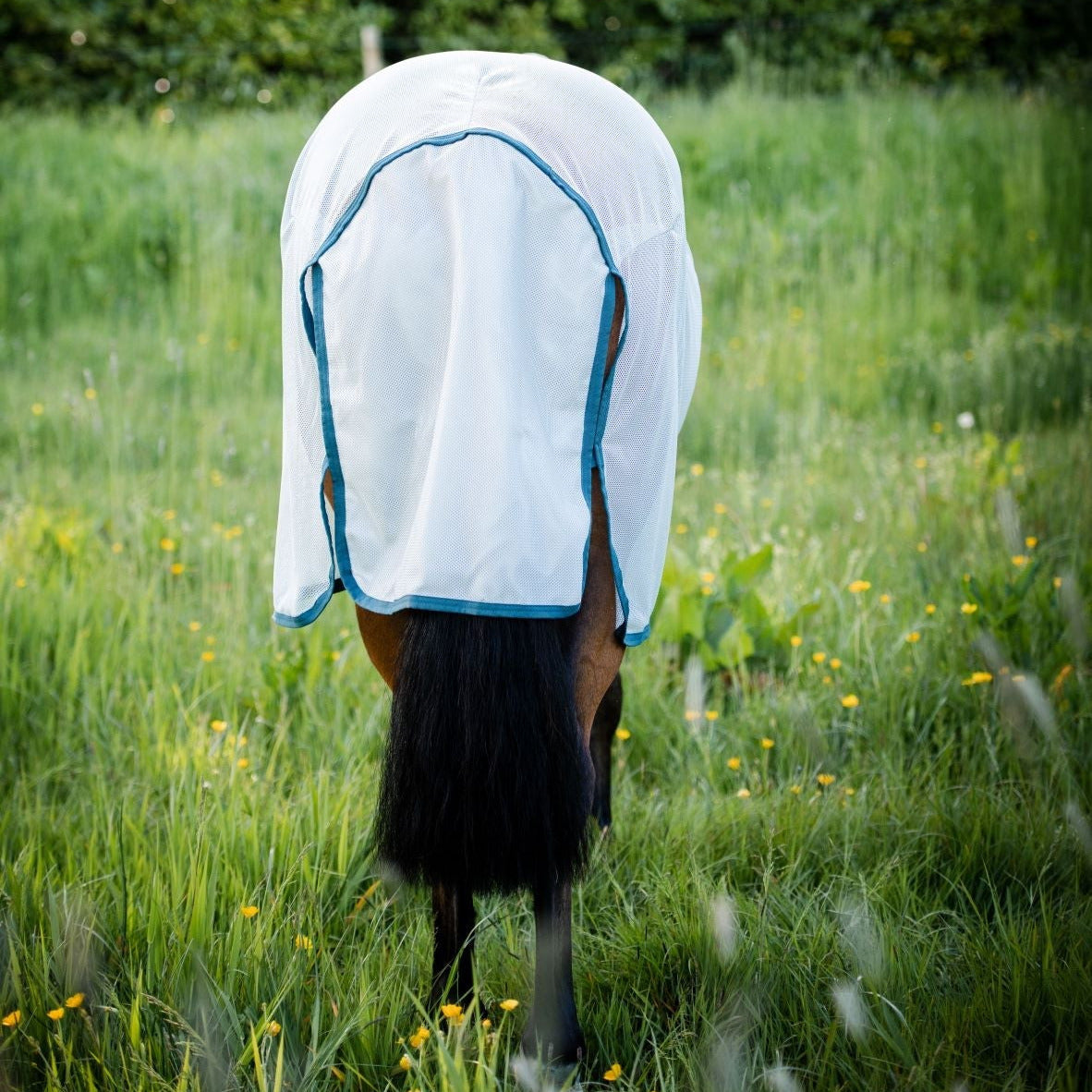 Amigo AmEco Bug Rug Detach-A-Neck