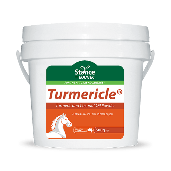 AHD Turmericle Turmeric and Coconut Oil Powder - 500g