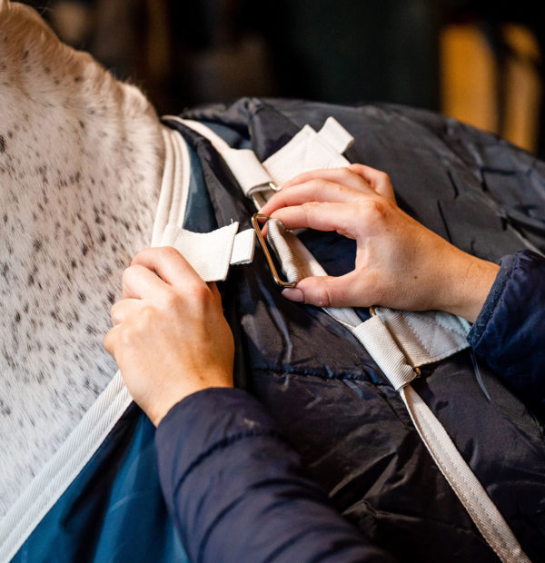 Horseware Eco Liner