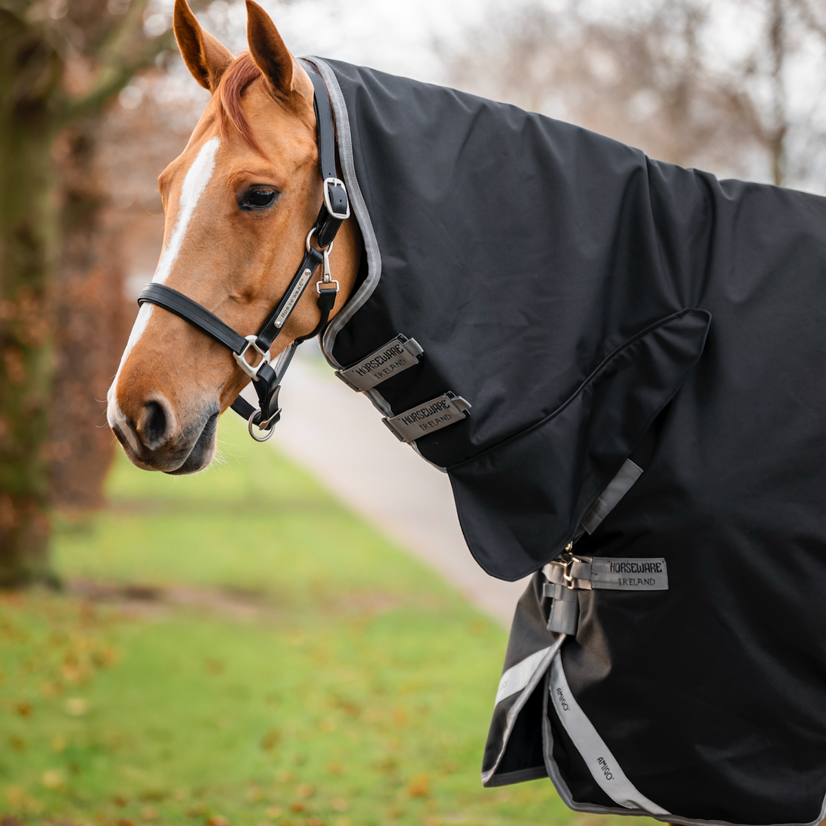 Amigo 1200D Integrated Turnout Combo - 3
