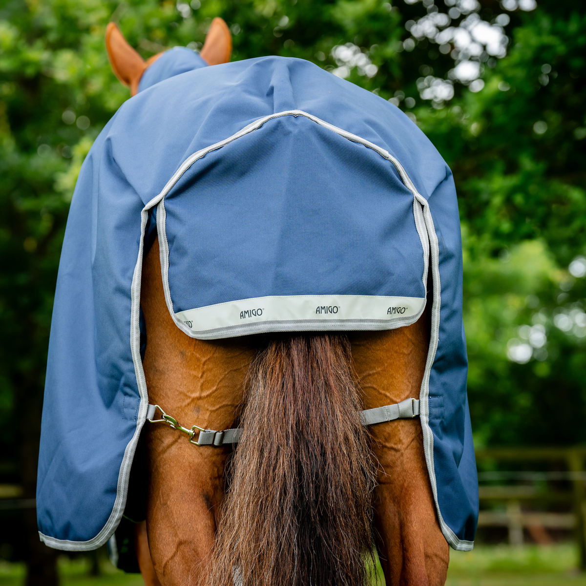 Amigo 1200D Plus Turnout Detach-A-Neck - 10