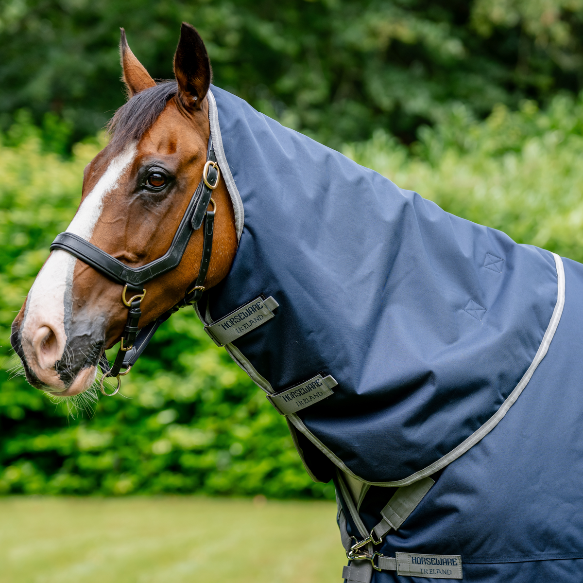 Amigo 1200D XL Turnout Neck Rug - 2