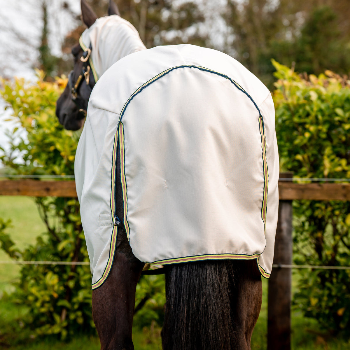 Amigo Ripstop 600D Hoody - 5