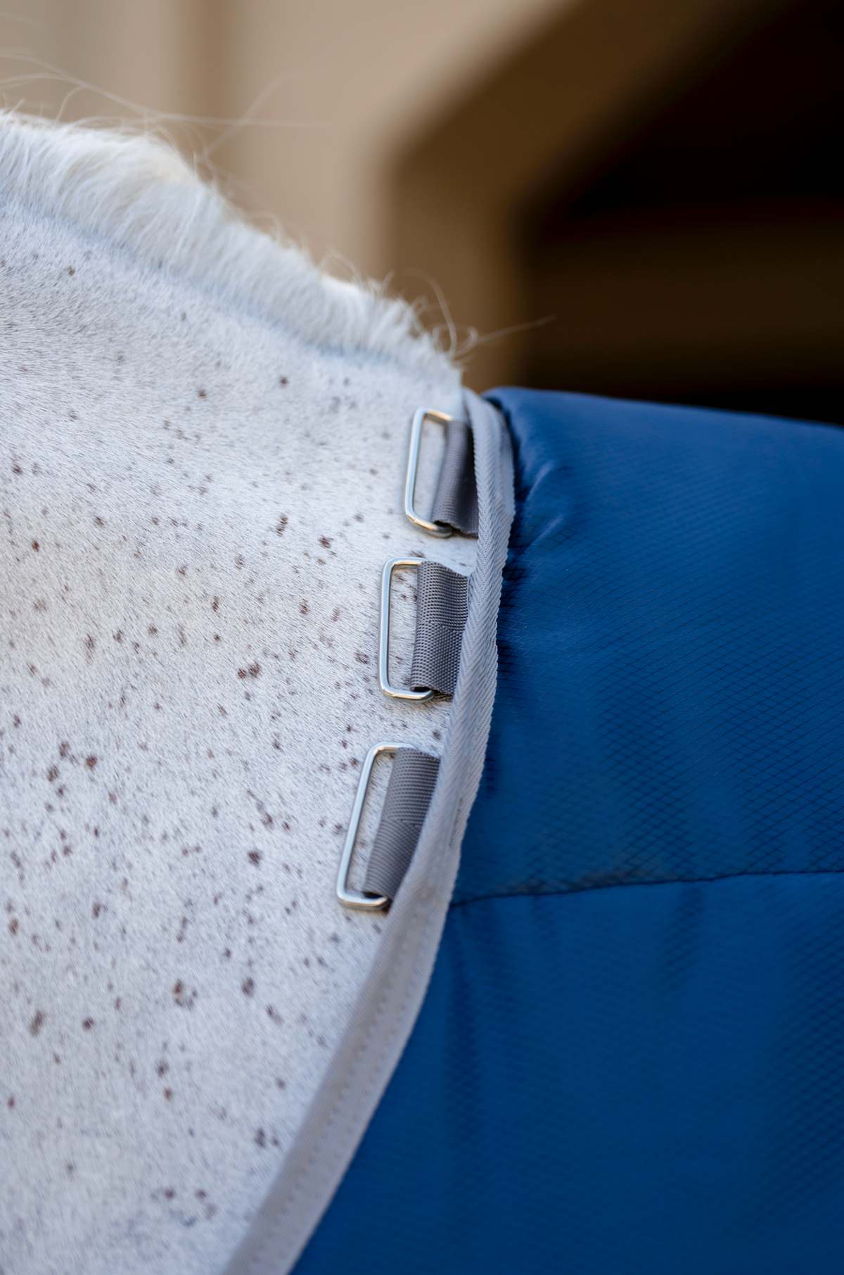 Amigo Ripstop Insulator Plus Pony Stable Doona Detach-A-Neck - 3