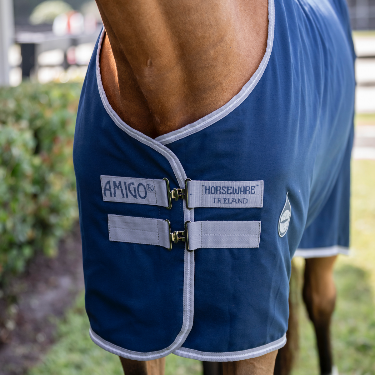 Amigo Stable Sheet - 2