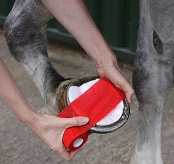 Animalintex Poultice Hoof Shaped PK3 - 2