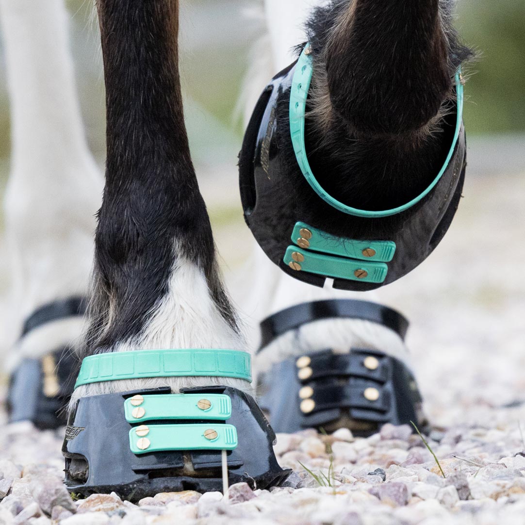 Scootboot Pastern Straps