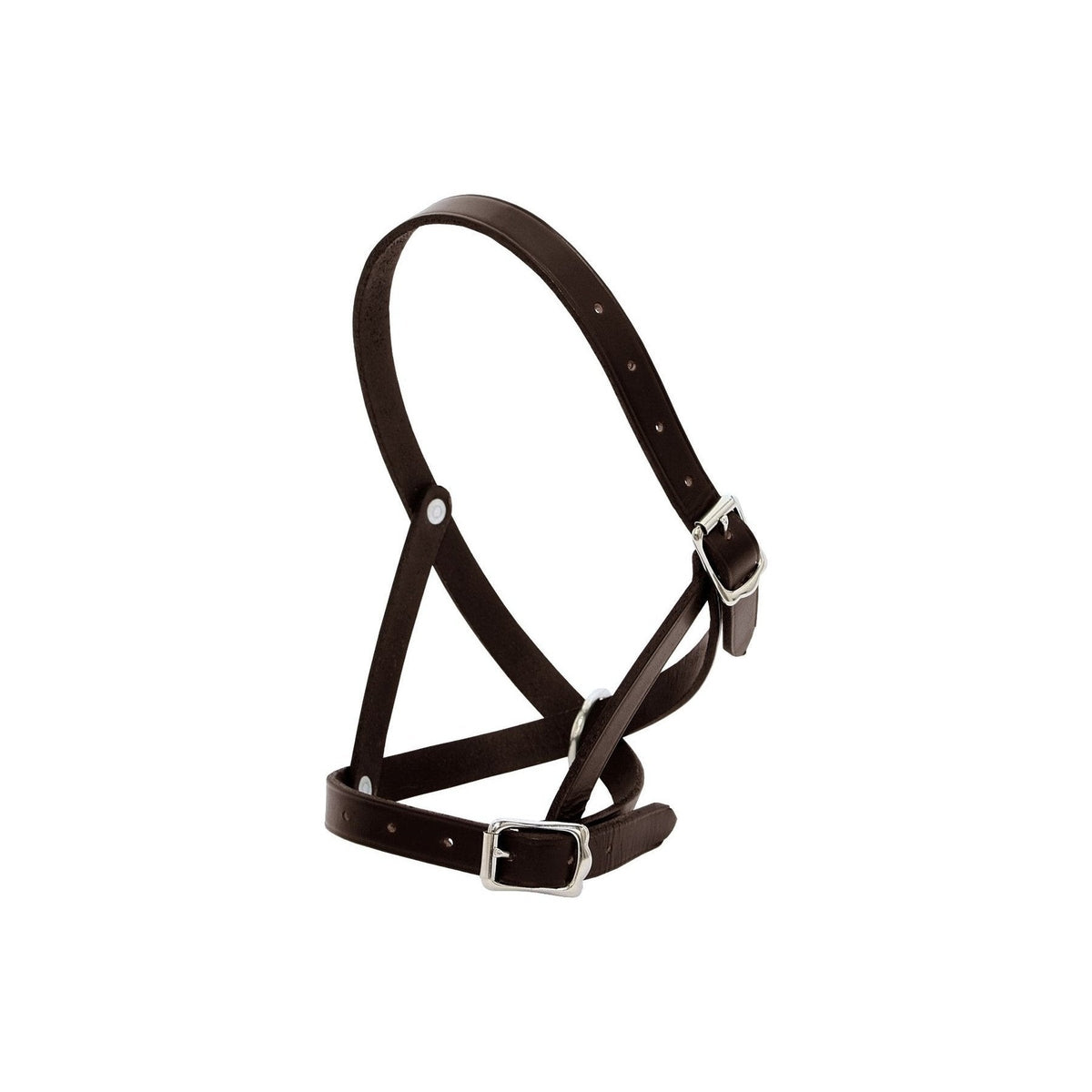 Blue Tag Leather Tethering Calf Halter