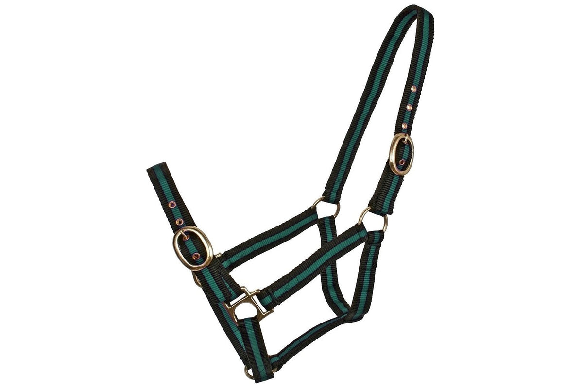 Blue Tag Striped Web Halters - Green