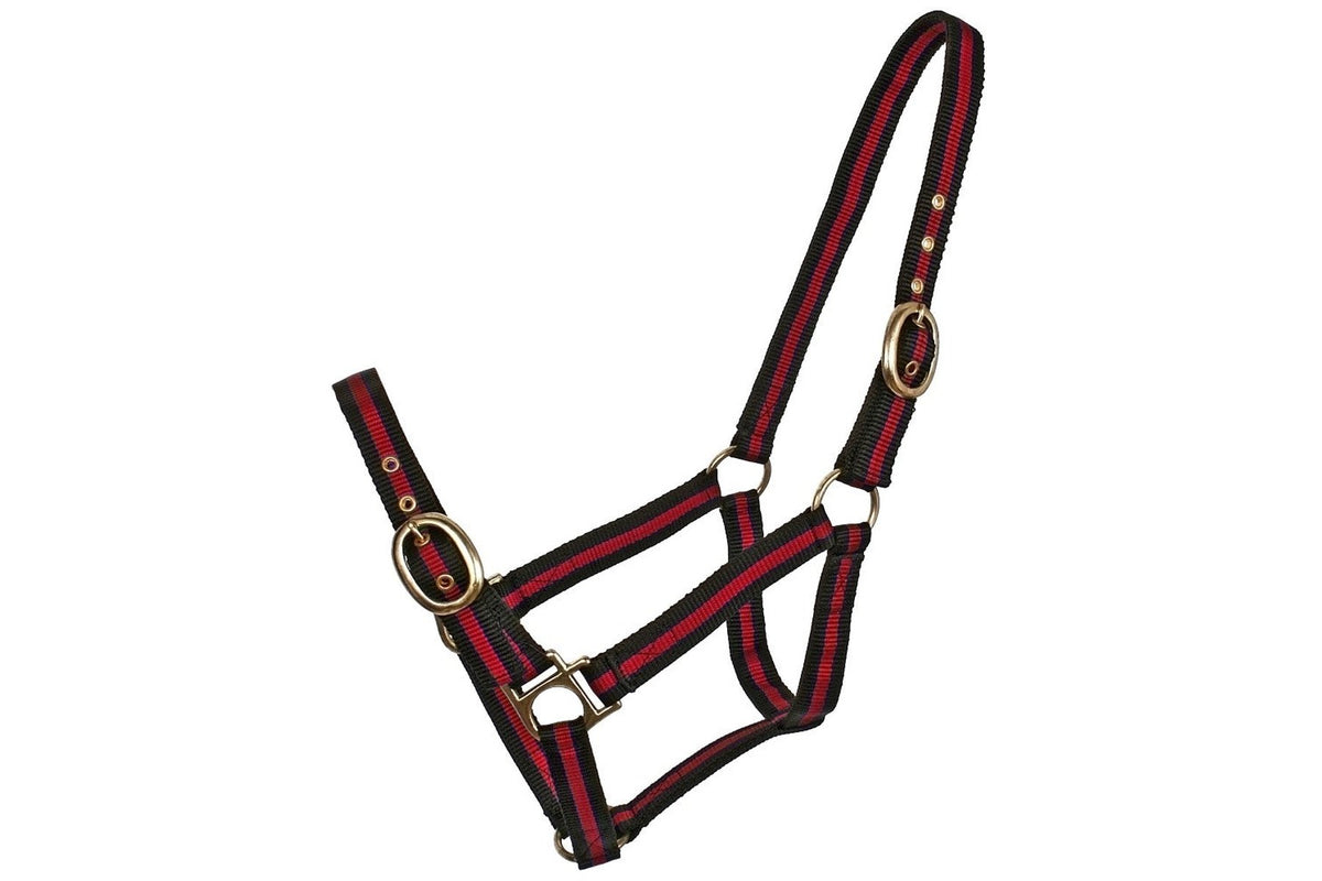 Blue Tag Striped Web Halters - Red