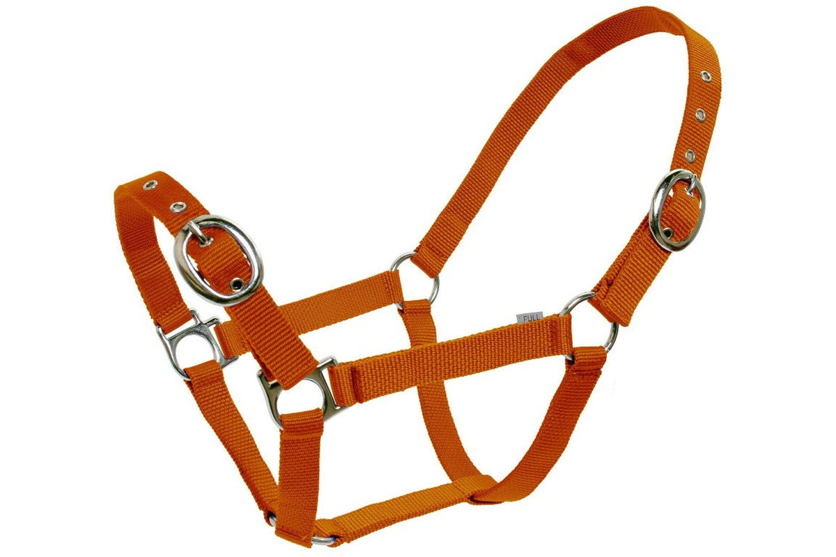 Blue Tag Web Halters - Orange
