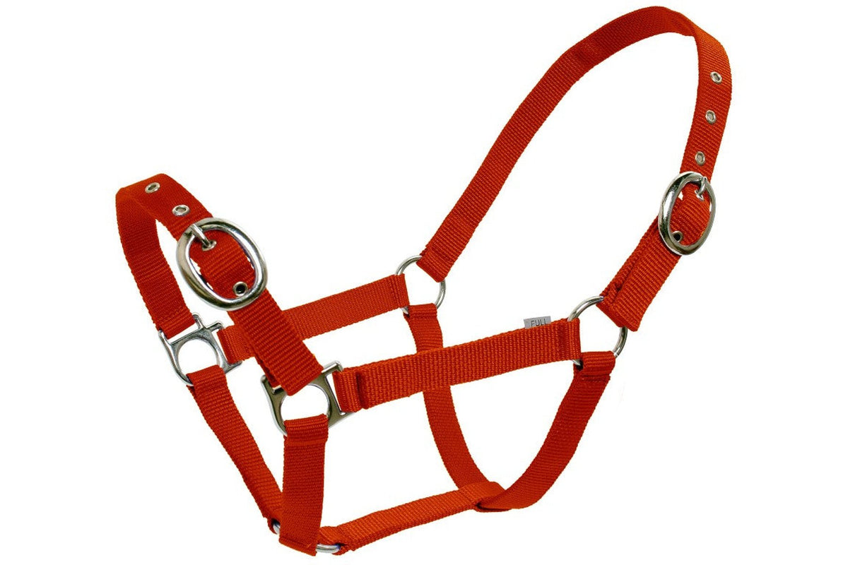Blue Tag Web Halters - Red
