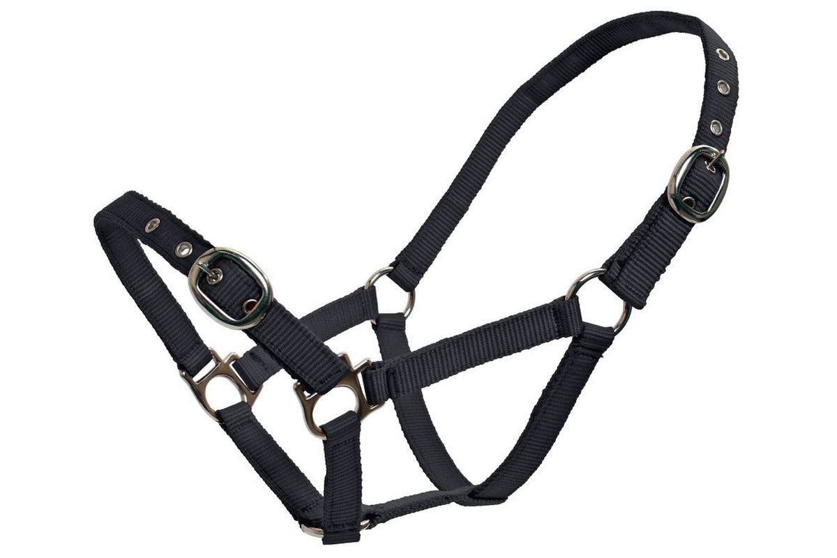 Blue Tag Web Halters Small Sizes - Navy